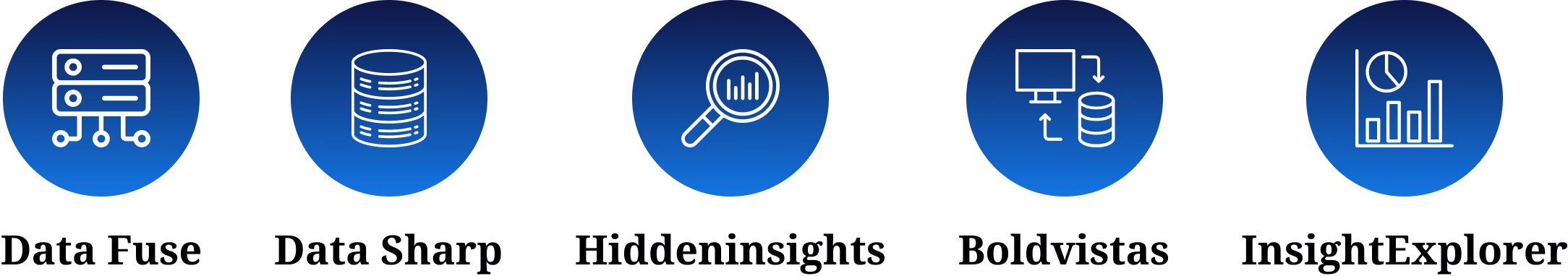 Intuceo product suite: DataFuse, DataSharp, HiddenInsights, BoldVistas and InsightExplorer